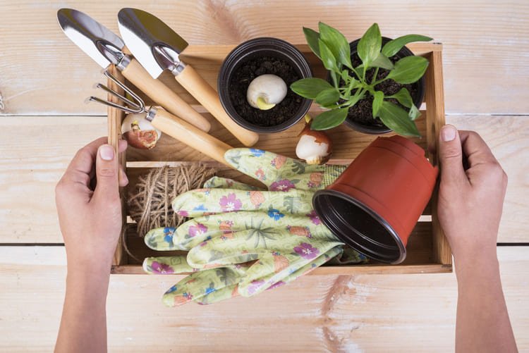 Nesta imagem, mostramos algumas ferramentas essenciais para uma boa manutenção do seu jardim, luvas, pá, terra, vaso.