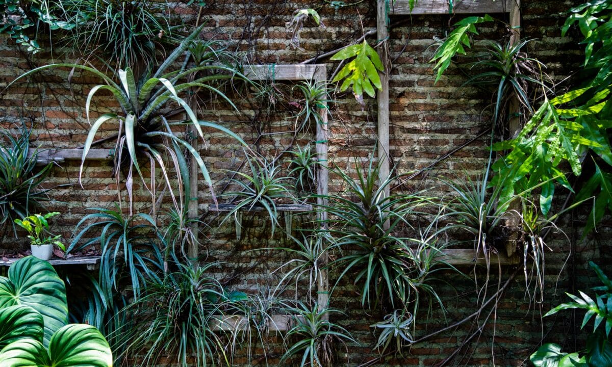 Jardim vertical com plantas penduradas cobrindo uma parede de tijolos aparentes