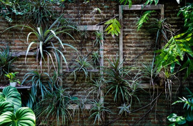 Jardim vertical com plantas penduradas cobrindo uma parede de tijolos aparentes