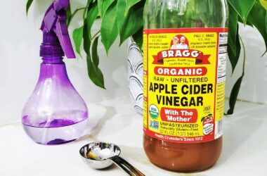 Produtos de limpeza caseiros naturais, com vinagre e borrifador, prontos para uso doméstico