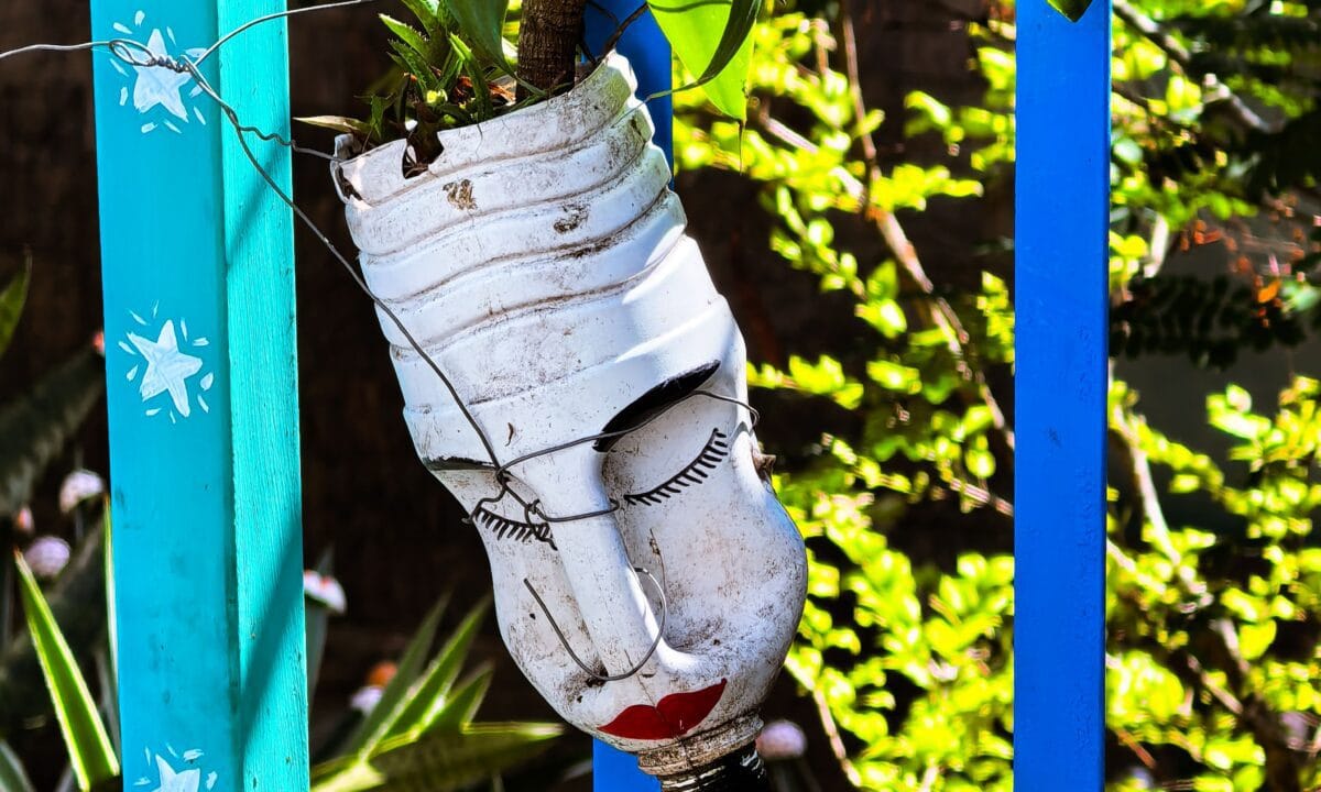 Vaso decorativo feito de garrafa PET reaproveitada e pintada, usado como jardineira suspensa com planta