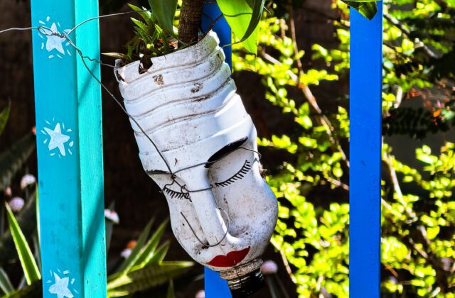 Vaso decorativo feito de garrafa PET reaproveitada e pintada, usado como jardineira suspensa com planta