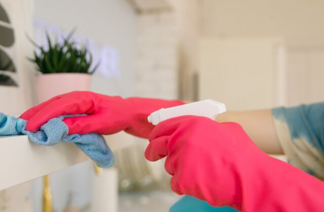 Mãos com luvas de borracha rosa limpando a casa, segurando um borrifador de produto de limpeza, com planta ao fundo